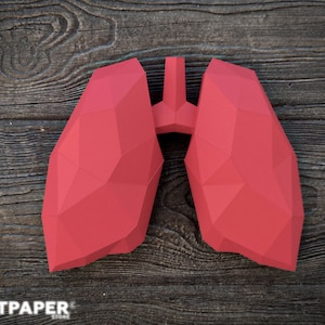 Modello di polmoni umani in carta - Low Poly 3D stampabile PDF SVG DXF Cricut cameo - Decorazione fai da te con modello anatomico in carta