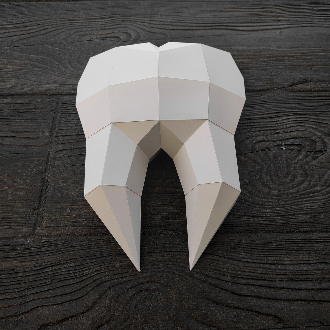 Papercraft Human Tooth Valentines Day 3D Low Poly Paper | Etsy
