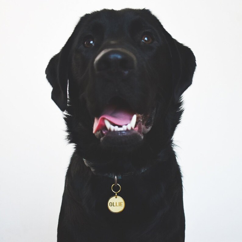 Personalised Dog ID Tag Customised With Name Etsy UK