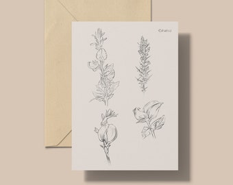 Ononis Wildflower Postcard- A6, Floral, Peach