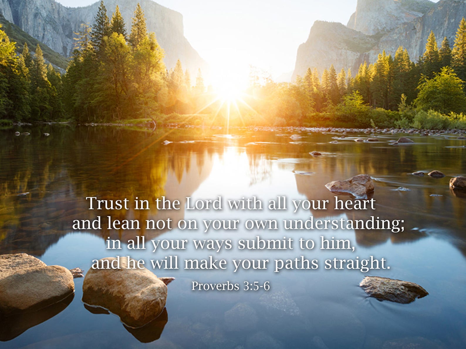 bible verse about trust bible verse about trust
