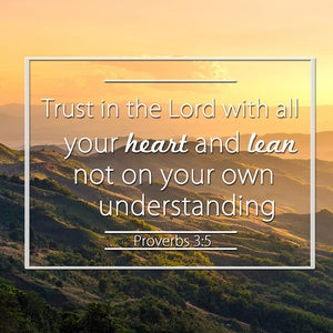 Proverbs 3:5 #7 NIV Trust in the Lord with all your Heart Scripture Art, Framed Bible verses, Religious framed art, Wall Hangings, Christian