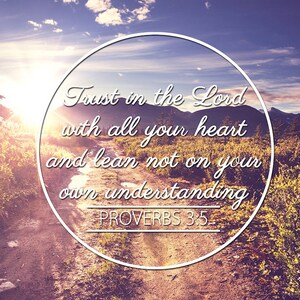 Proverbs 3:5 #8 NIV Trust in the Lord with all your Heart Scripture Art, Framed Bible verses, Religious framed art, Wall Hangings, Christian