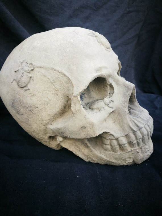stone garden live size GOTHIC SKULL  concrete ORNAMENT