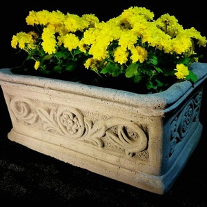 Può includere: Una fioriera rettangolare in cemento con finitura grigia testurizzata e un motivo floreale a volute in rilievo sui lati. La fioriera è riempita da un denso gruppo di fiori di crisantemo giallo brillante e foglie verdi su sfondo nero.