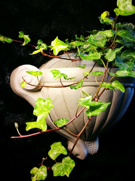 Outdoor&Inndoor Concrete wall planter