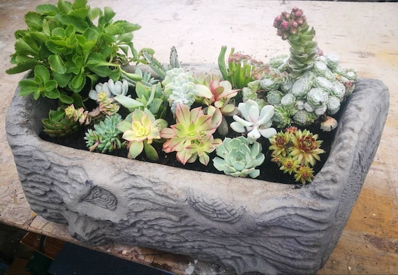 decorative  CONCRETE PLANTER TROUGH with tree bark design in Concrete