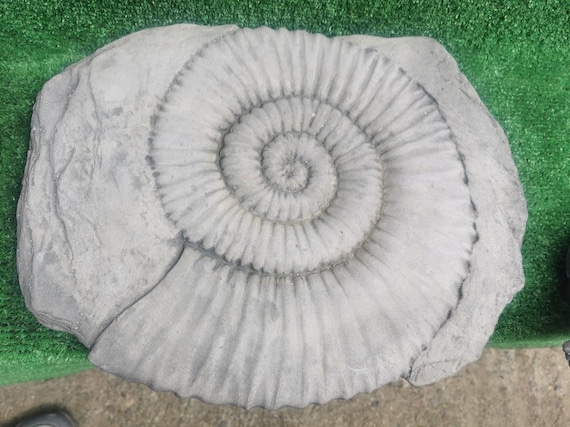Ammonite fossil Stepping stone garden ornament
