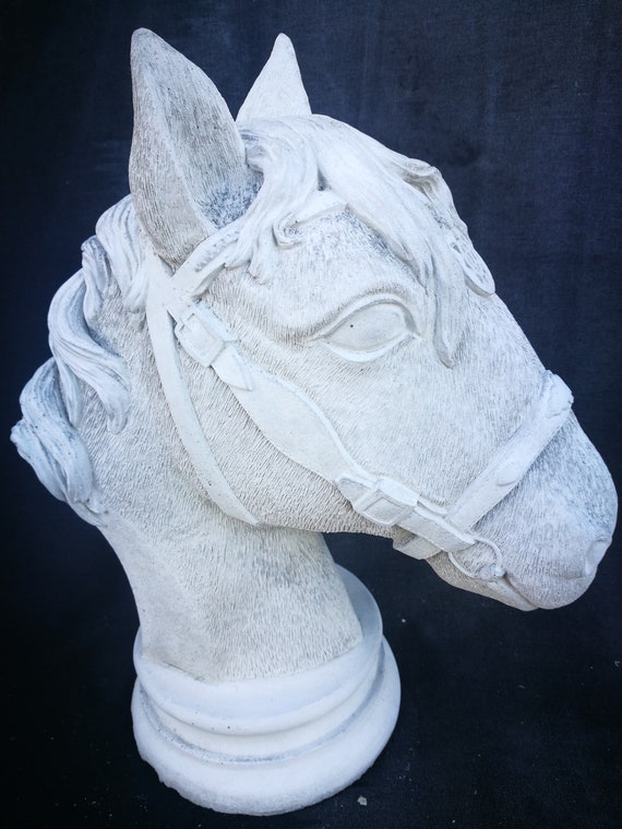 Horse Head