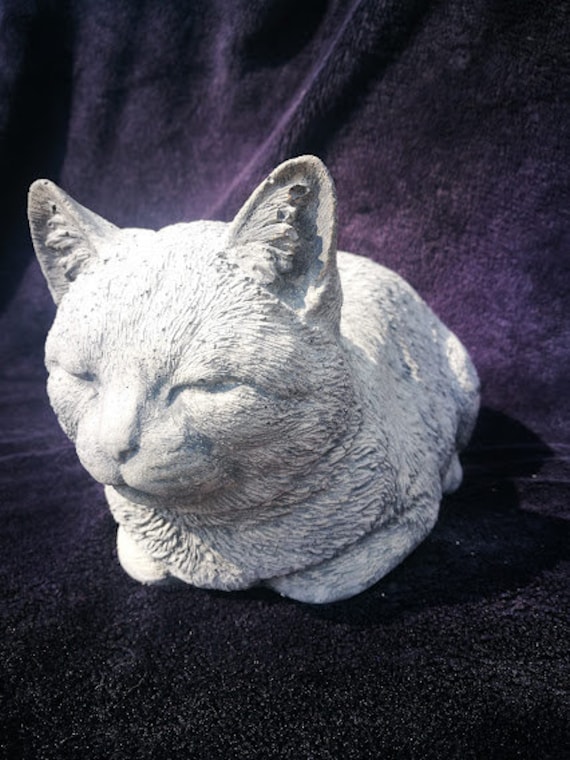 Sleeping Cat