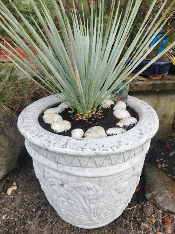 Planter Pot
