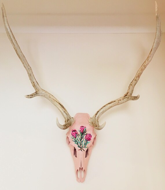 Painted Deer Skull With Pink Proteas Etsy