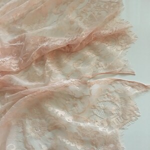 May include: A delicate, pale pink lace fabric with a floral pattern. The lace has a scalloped edge and is soft and sheer.