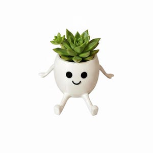 May include: A white ceramic planter shaped like an egg with arms and legs, and a smiling face. The planter holds a green succulent plant. The planter is designed to look like a cartoon character.
