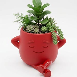 May include: A red ceramic plant pot with a smiling face, arms, and crossed legs, filled with various green succulents and plants. This unique pot is a decorative item for indoor or outdoor use.