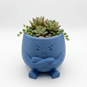 Può includere: Un vaso blu in stile cartone animato con una faccia arrabbiata, le braccia incrociate e piedini. Il vaso contiene diverse piante grasse e piccole piante verdi. Le piante grasse hanno foglie verdi e rossastre. Il vaso è su sfondo bianco.