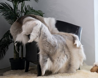 Reindeer Hides: Scandinavian Reindeer - XXL