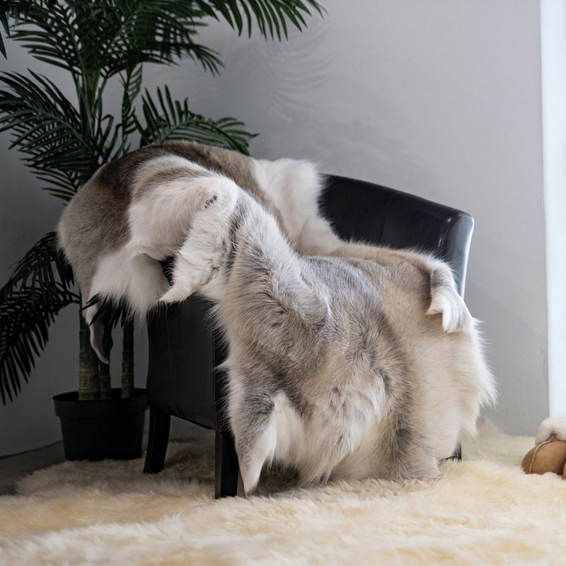 Reindeer Hide Tanned - Etsy