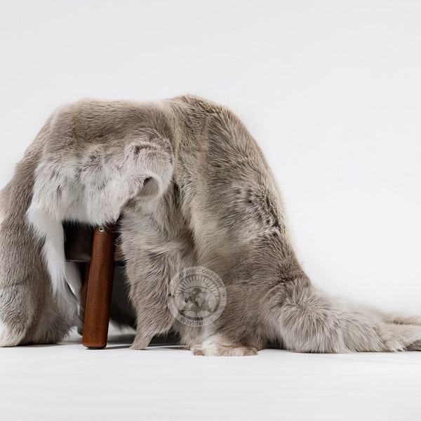 Echtes Rentierfell Teppich - XXL