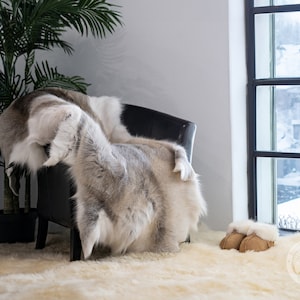 May include: A black armchair draped with a grey and white fur throw. A matching fur rug covers the floor, and a pair of brown and white sheepskin slippers sit near a window overlooking a snowy landscape. A potted palm tree adds a touch of greenery to the scene.