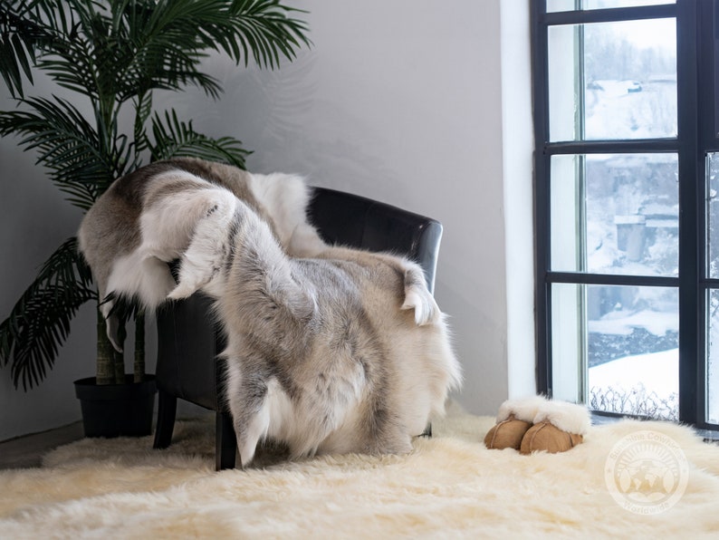 May include: A black armchair draped with a grey and white fur throw. A matching fur rug covers the floor, and a pair of brown and white sheepskin slippers sit near a window overlooking a snowy landscape. A potted palm tree adds a touch of greenery to the scene.