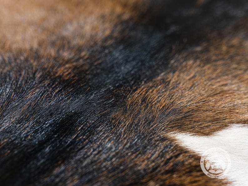 Puede incluir: Primer plano de una alfombra de piel de vaca marr&oacute;n y negra con un parche blanco. La textura de la piel es visible, mostrando los pelos individuales.