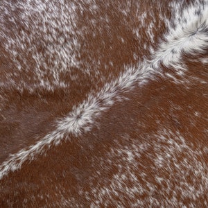 May include: Close-up of a brown and white cowhide rug. The rug has a natural pattern with a mix of brown and white fur. A white stripe runs diagonally across the centre. The texture is soft and the colours are natural.