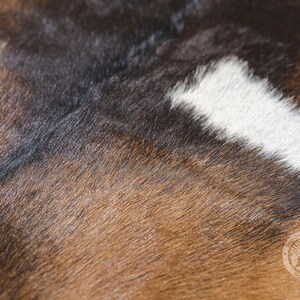 Puede incluir: Primer plano de una piel de vaca marr&oacute;n, negra y blanca con una superficie natural texturizada.