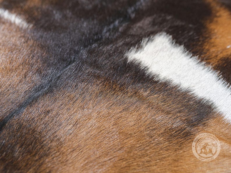 Puede incluir: Primer plano de una piel de vaca marr&oacute;n, negra y blanca con una superficie natural texturizada.