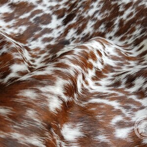 May include: A close-up shot of a cowhide rug featuring a distinctive brown and white spotted design. The natural hide displays a soft texture and a rich colour variation, with areas of deep brown and bright white.