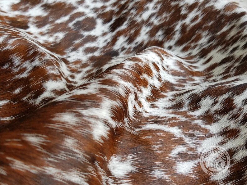 May include: A close-up shot of a cowhide rug featuring a distinctive brown and white spotted design. The natural hide displays a soft texture and a rich colour variation, with areas of deep brown and bright white.