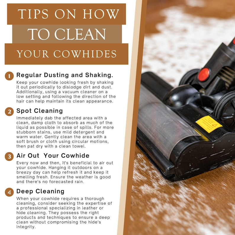 May include: Tips on how to clean cowhides.  Illustrated guide with four steps: regular dusting and shaking, spot cleaning, air out your cowhide, and deep cleaning.  A close-up of a vacuum cleaner on a cowhide.