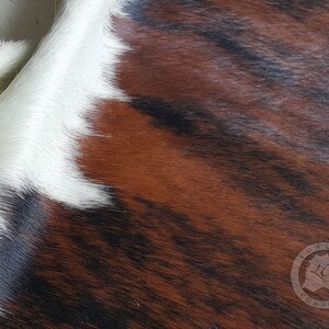 Brindle kohudmatta - M/L/XXL bild 4