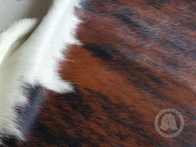 Brindle kohudmatta - M/L/XXL bild 4