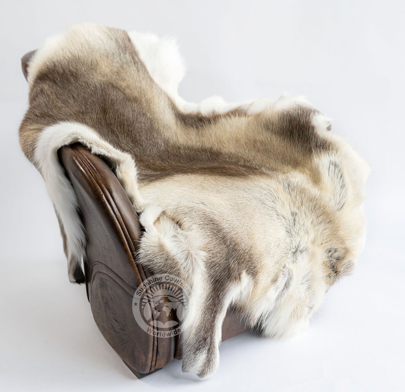 May include: A reindeer hide draped over a brown leather chair. The hide features a mix of light brown, grey, and white fur. The chair's leather is a dark, rich brown. The hide is soft and fluffy, adding texture to the scene.