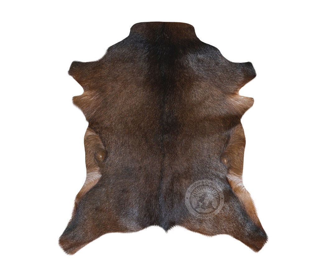 2x3 Hide Rug Goatskin Hide, Brown Goat Skin Rug - Size 2x3' - Etsy
