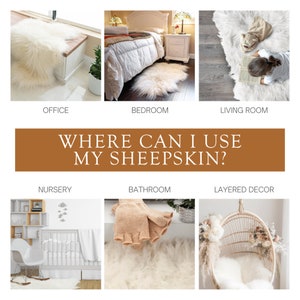 Puede incluir: Imagen que muestra varios usos para alfombras de piel de oveja. Las escenas incluyen una oficina, un dormitorio y una sala de estar, con el texto "WHERE CAN I USE MY SHEEPSKIN?" Escenas adicionales muestran una guarder&iacute;a, un ba&ntilde;o y una decoraci&oacute;n en capas.