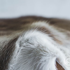 May include: Close-up of a cowhide rug with a mix of white, brown, and grey fur. The texture of the fur is visible, with long, soft hairs. The rug has a natural, organic look.