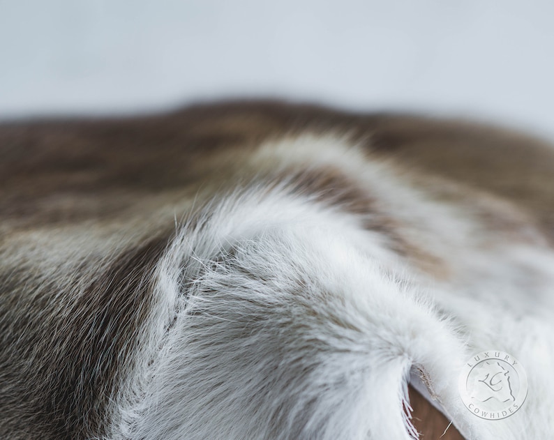 May include: Close-up of a cowhide rug with a mix of white, brown, and grey fur. The texture of the fur is visible, with long, soft hairs. The rug has a natural, organic look.