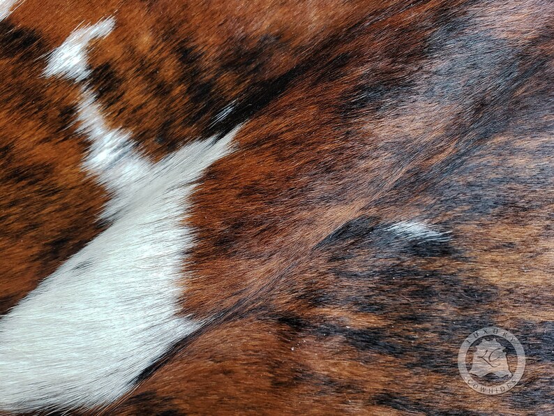 TRICOLOR MINI Cowhide Rug 24x35 Premium Quality Etsy