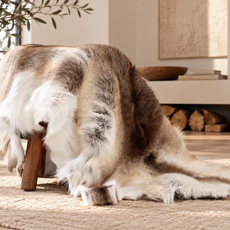 Reindeer Skins - Etsy