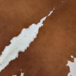 May include: Close-up of a cowhide rug with a brown and white pattern. The brown areas are a rich, warm tone, while the white sections create a striking contrast. The natural texture of the hide is visible.