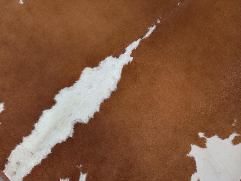 May include: Close-up of a cowhide rug with a brown and white pattern. The brown areas are a rich, warm tone, while the white sections create a striking contrast. The natural texture of the hide is visible.