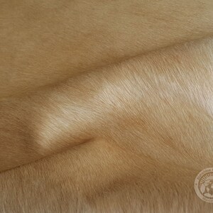 May include: Close-up of a light brown cowhide with a soft, fuzzy texture. The hide is folded in half, revealing the underside.