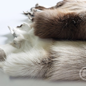 May include: A close-up shot of several animal hides. The hides feature a blend of colours, including white, brown, and grey. The fur looks soft and luxurious, with diverse textures and patterns. The image showcases the natural beauty and unique characteristics of each hide.