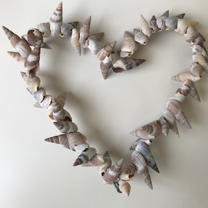 Bellissimo cuore con conchiglie di lumache di mare - Decorazione di conchiglie - Decorazione da parete a forma di cuore di conchiglia