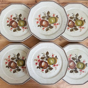 Vintage RARE 70&#39;s German Winterling Bavaria Marktleuthen Plates - Winterling Debora plate (2)