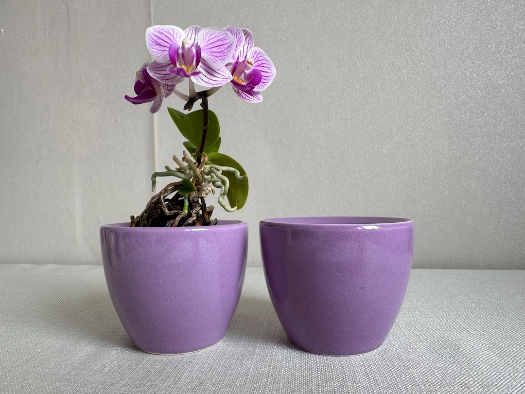 potted grass plant Tabletop Artificial Grass Plants Faux Greenery Plant Potted in Cylindrical White Cement Pots, Set of 2
