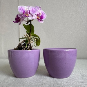 May include: Two purple ceramic flower pots. One pot contains a small orchid plant with pink and white flowers.