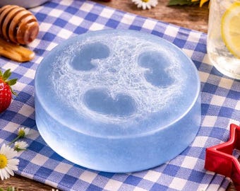 Gingham Handcrafted Loofah Soap – Fresh Floral Citrus Exfoliating Bar | Wedding Favors, Baby Showers, Gifts & Bulk Sets Available